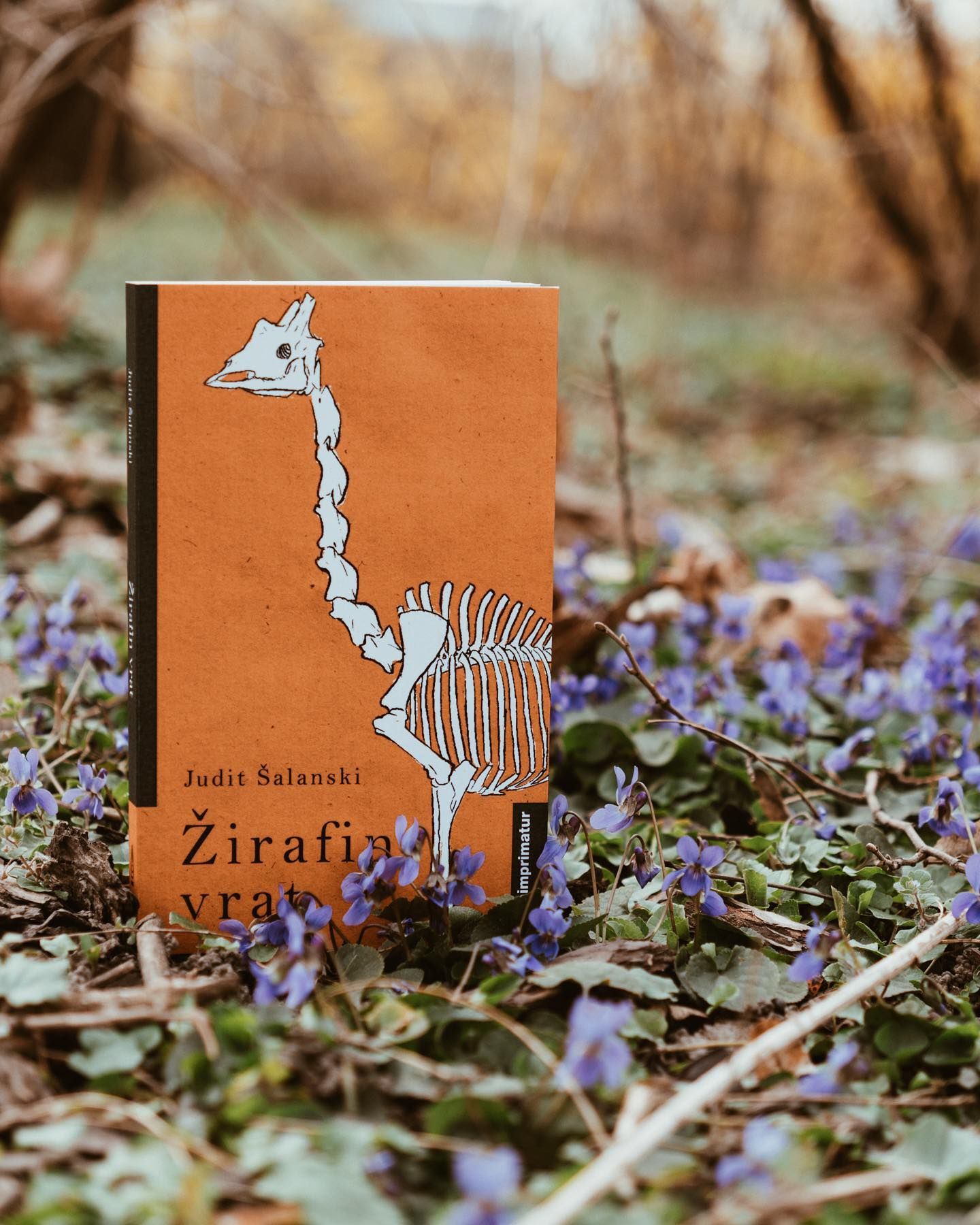 Knjiga Žirafin vrat, Judit Šalanski