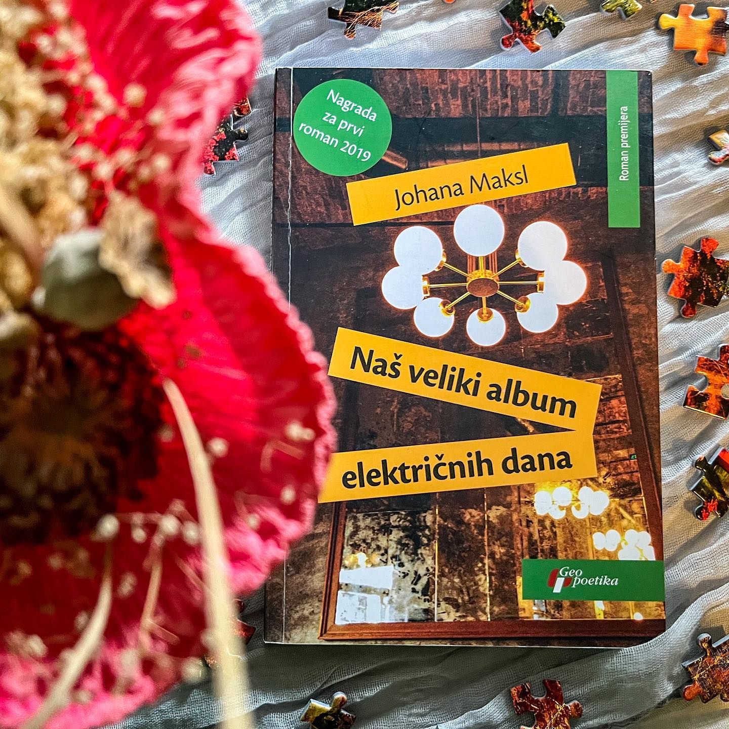 Knjiga Naš veliki album električnih dana, Johane Maksl